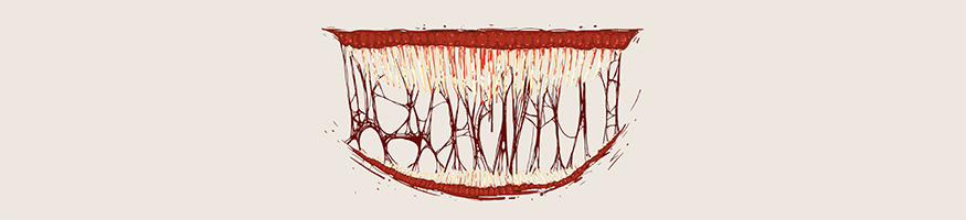 Psychology of Horror Movies
